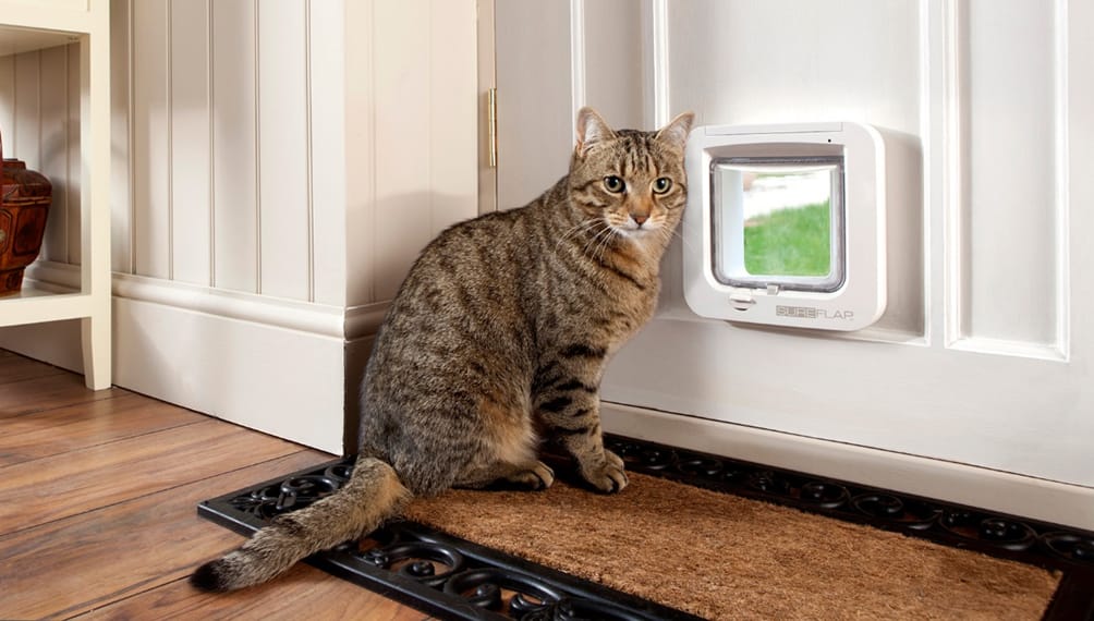 Sureflap: Microchip Pet Door