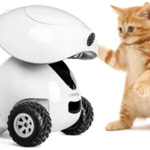 Dogness iPet Robot