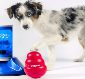 PupPod - Smart Dog Toy Platform