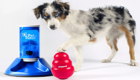 PupPod - Smart Dog Toy Platform